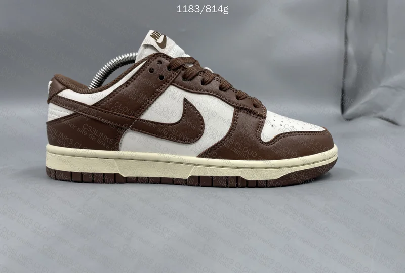 Dunk Cacao (OVO) 5