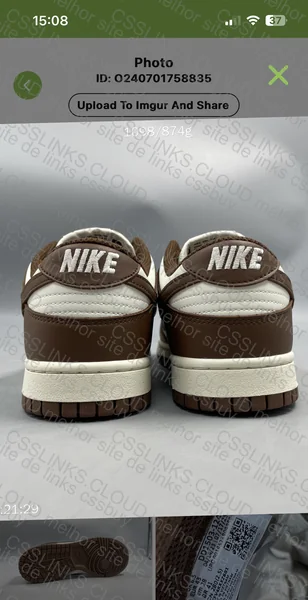 Dunk Cacao (shark) GL? 3
