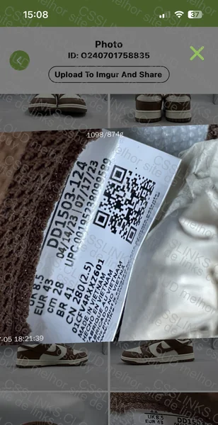 Dunk Cacao (shark) GL? 4
