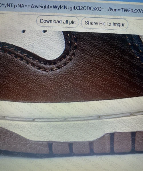 Dunk Cacao New VT 3