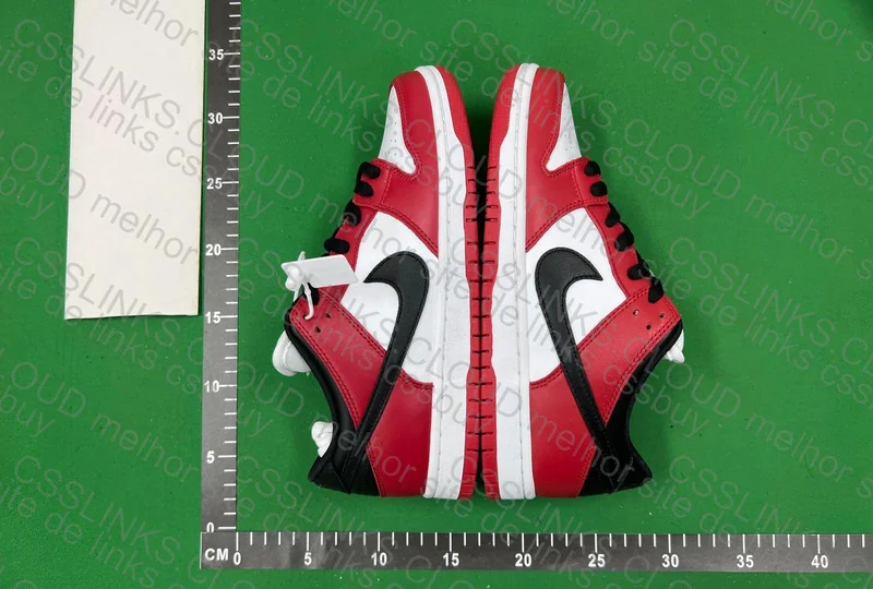 Dunk chicago 2