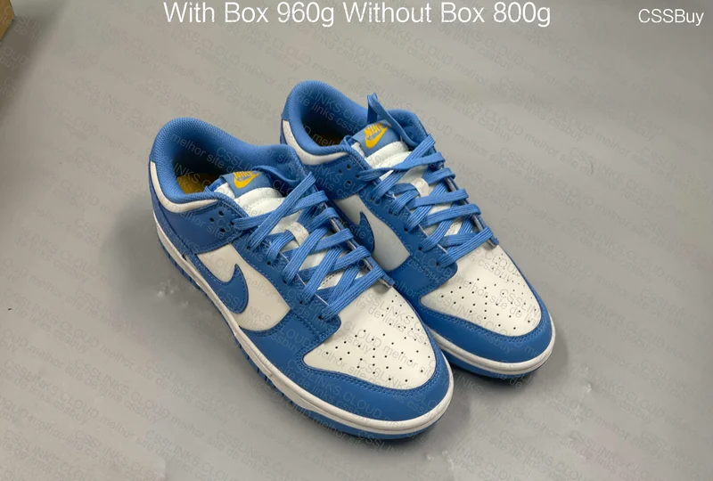 Dunk Coast Blue 5