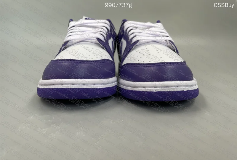 Dunk Court Purple 6