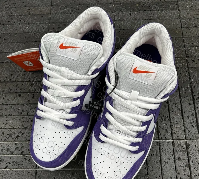 Dunk Court Purple 2