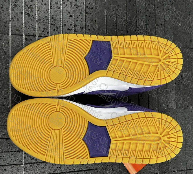 Dunk Court Purple 5