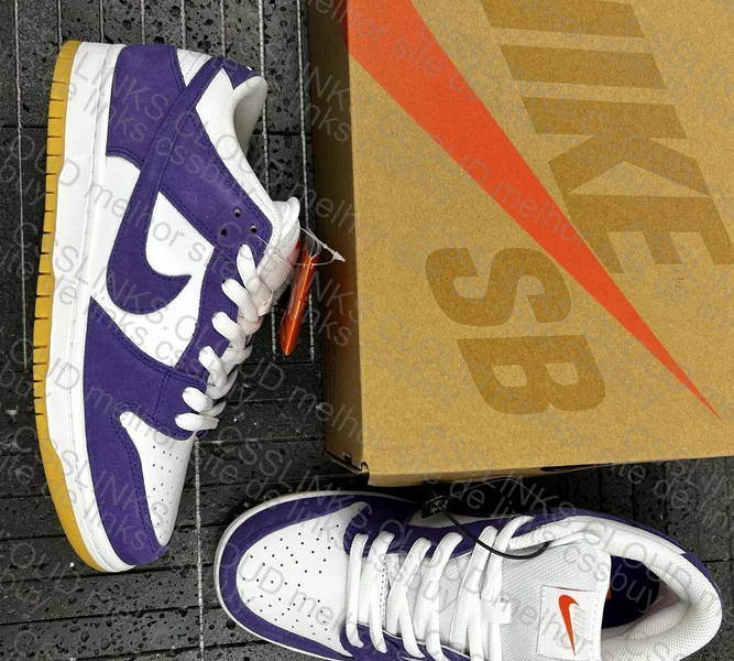 Dunk Court Purple 6