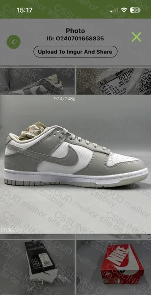 Dunk Shark GL? 5