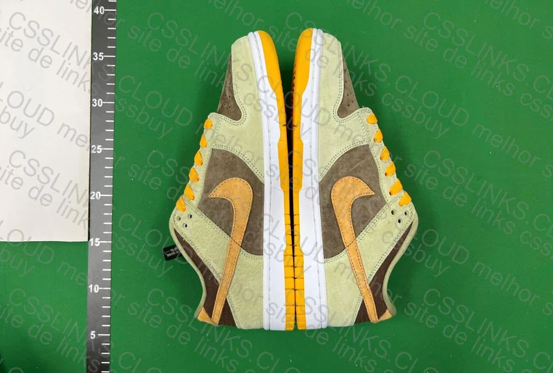 Dunk Dusty Olive 2