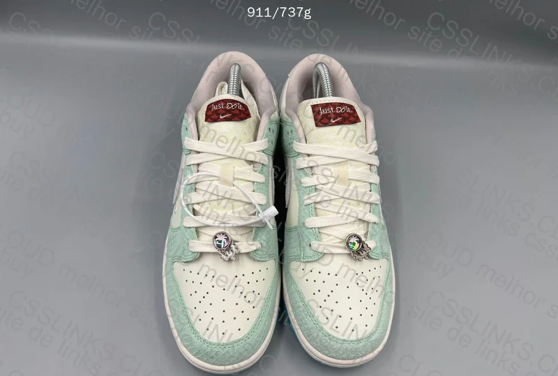 Dunk Fossil