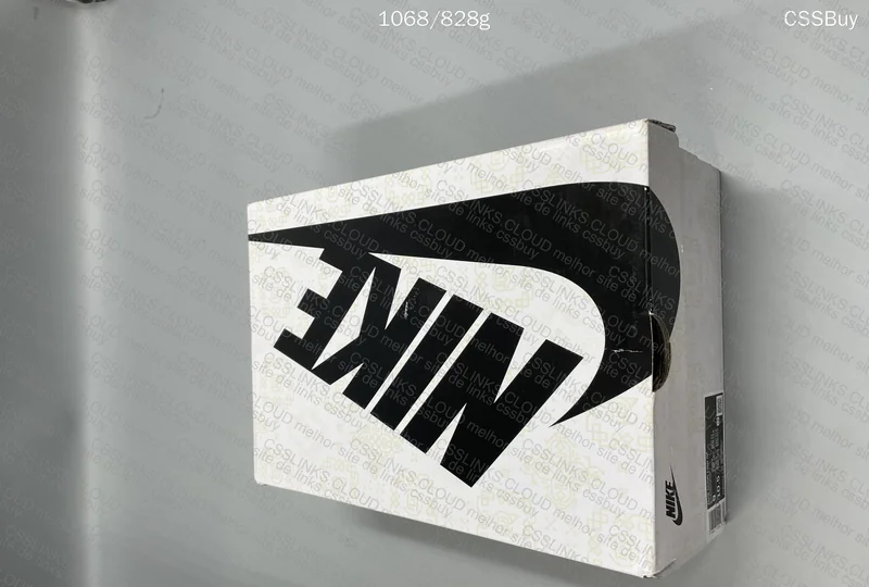 dunk fragment 10
