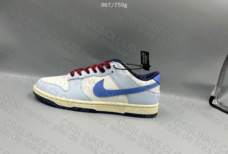 Dunk From NIke To You 3