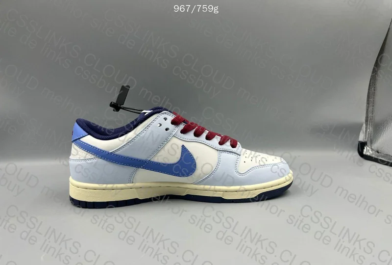 Dunk From NIke To You 5