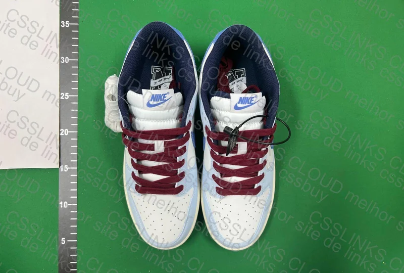 Dunk From Nike to You 2