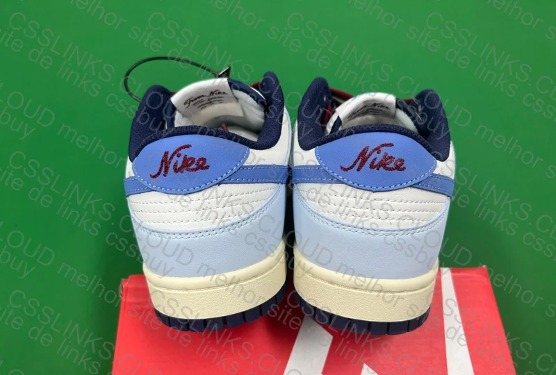 Dunk From Nike to You 3