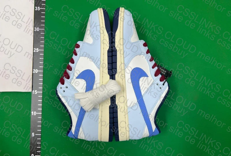Dunk From Nike to You 5