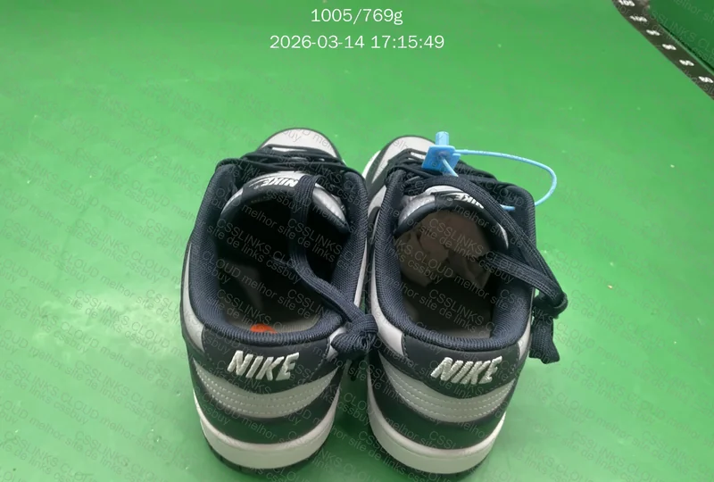 Dunk Georgetown 2