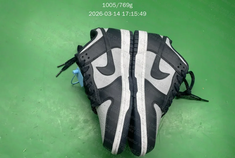 Dunk Georgetown 5