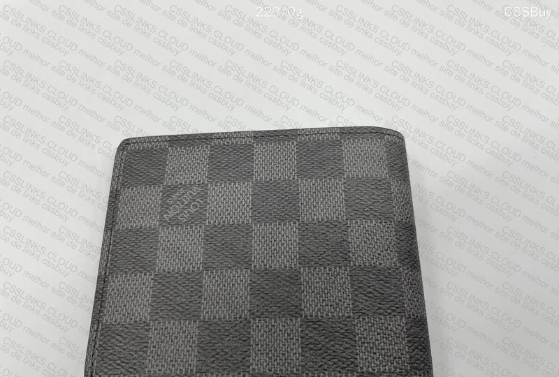 Dunk Gold Swoosh + LV Wallet 9