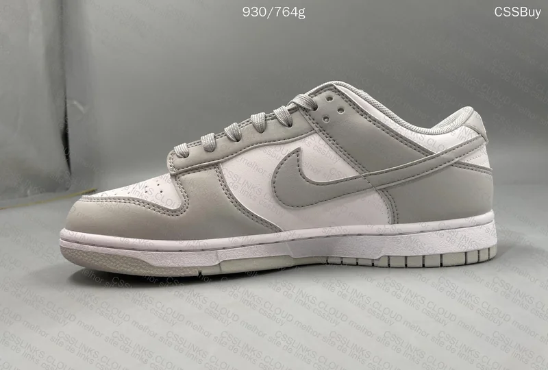 Dunk gray VT 5