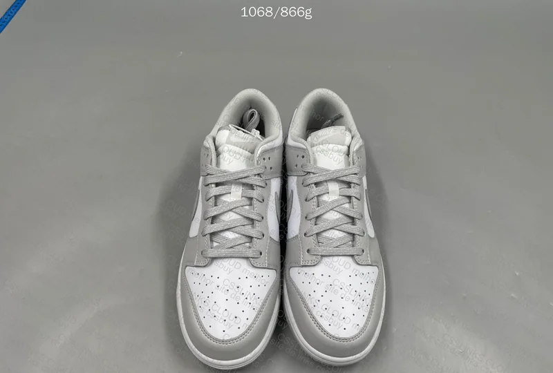 Dunk gray VT (DD1391-103)