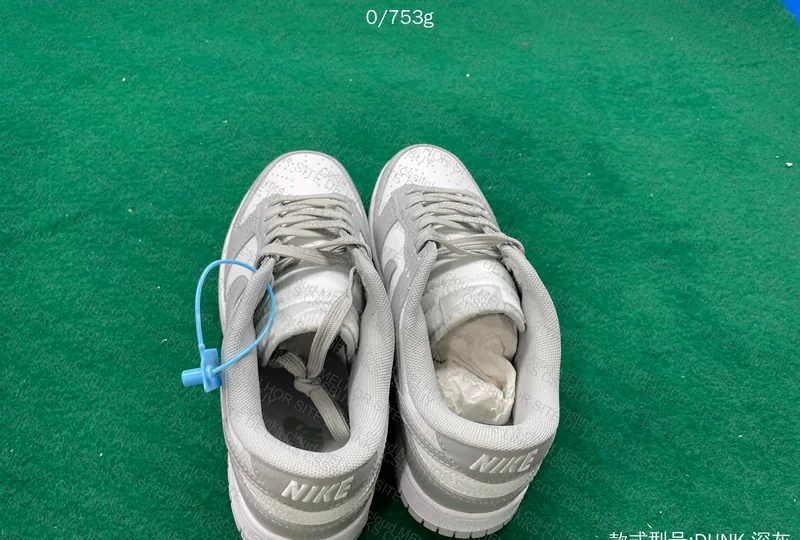 Dunk grey Fog 2