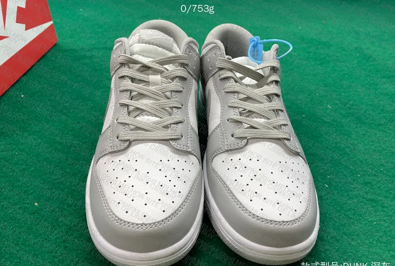 Dunk grey Fog 5