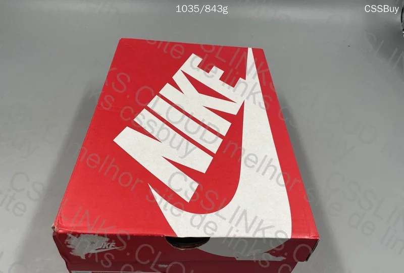 Dunk Grey Fog (GL??) 5