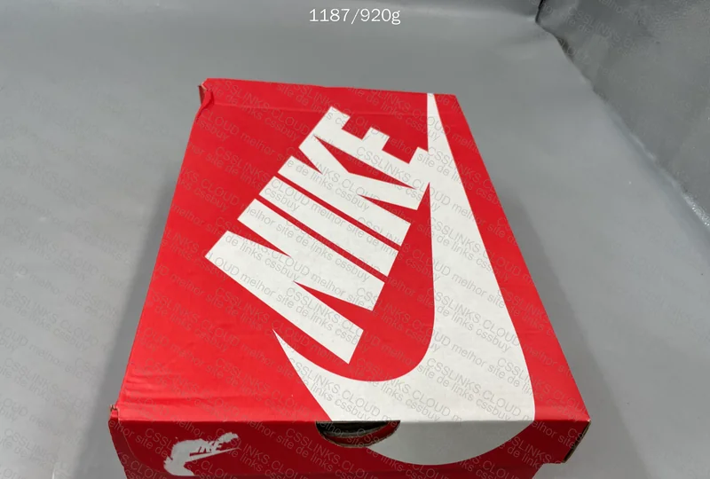 Dunk Grey Fog (OVO) 2