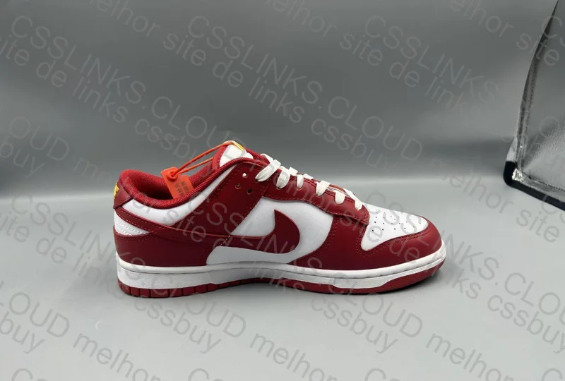 Dunk Gym Red 2