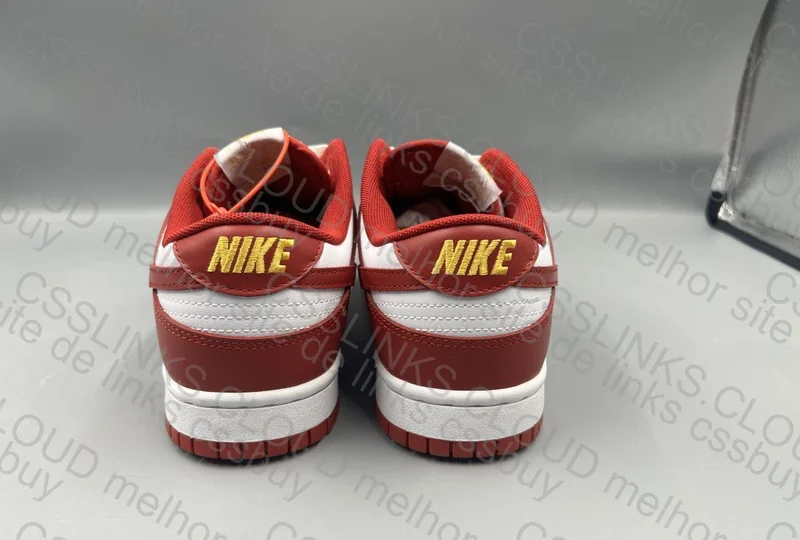 Dunk Gym Red 4