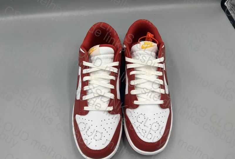 Dunk Gym Red 6