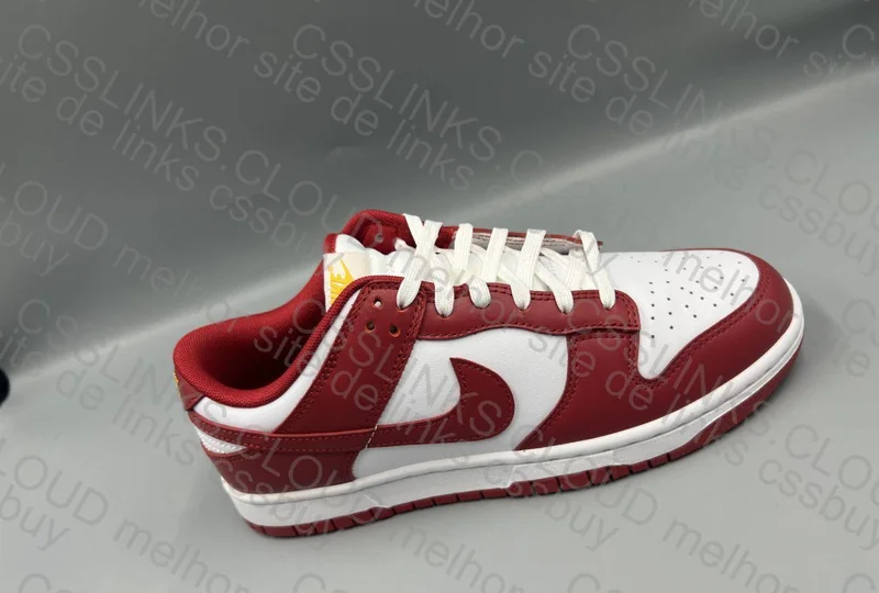 Dunk Gym Red 8