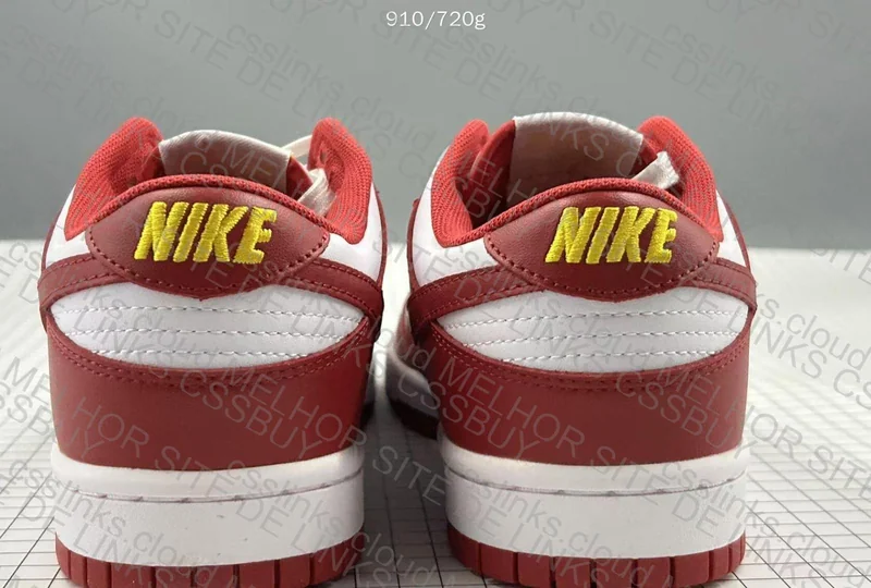 dunk gym red 2