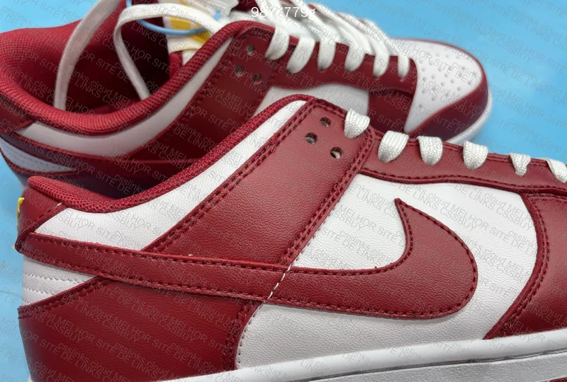 Dunk gym red 2