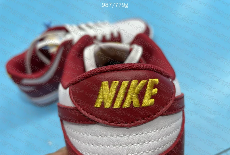 Dunk gym red 3