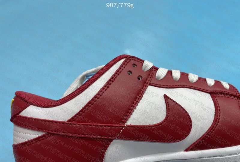 Dunk gym red 5