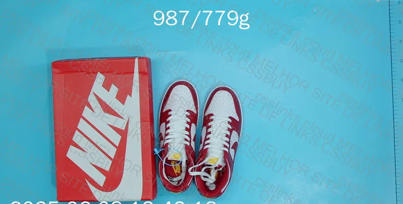 Dunk gym red 6