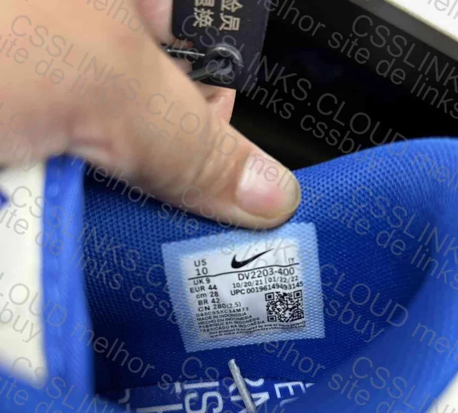 Dunk Jackie Robinson 10