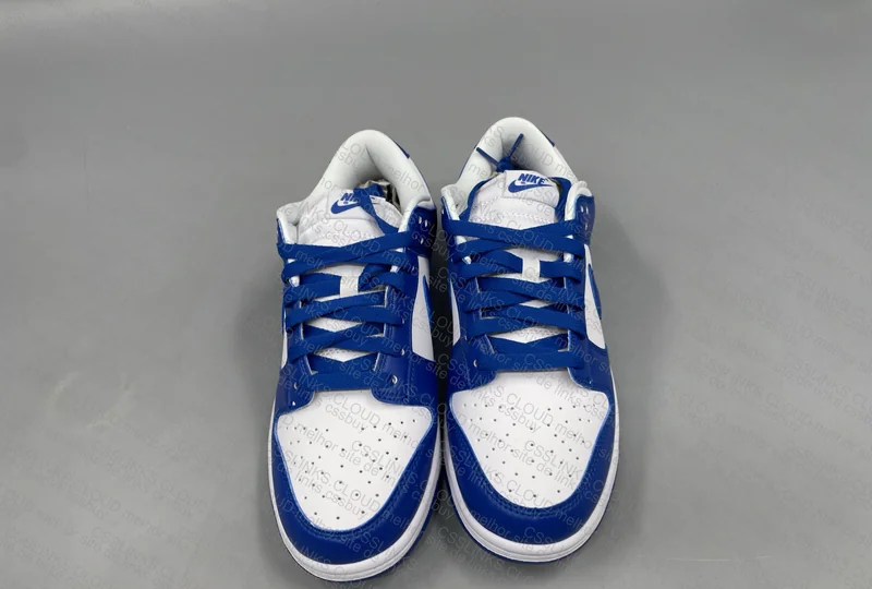 Dunk Kentucky 99¥