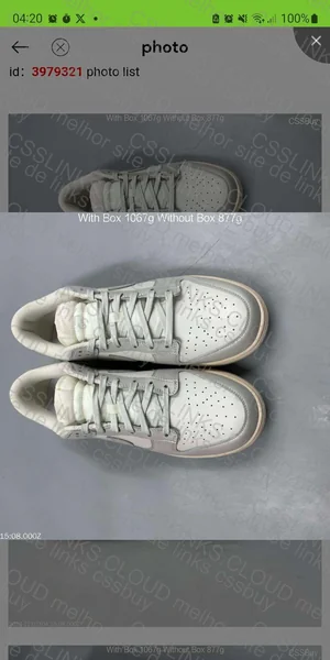 Dunk Light Bone 2