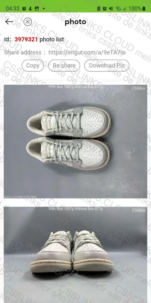 Dunk Light Bone 5