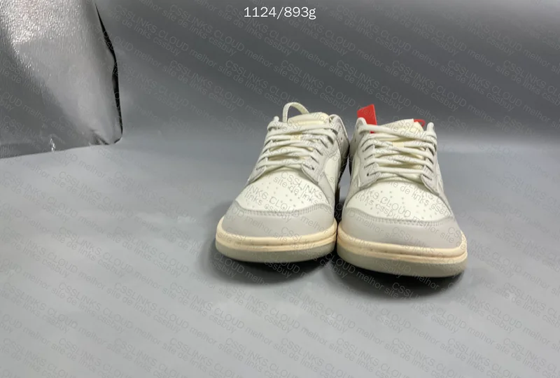 Dunk Light Bone - OVO 5