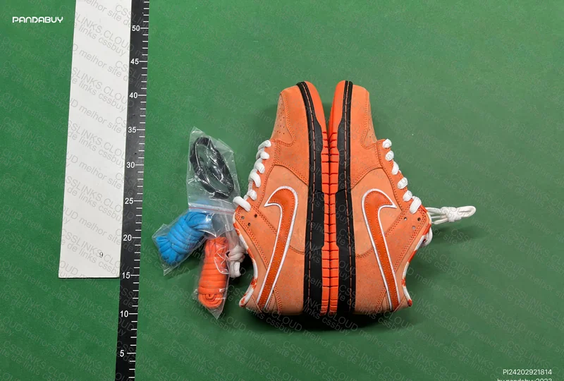 DUNK lobster 4