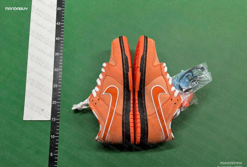 DUNK lobster 5