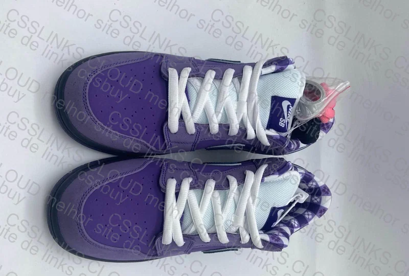 Dunk Lobster GT SALE 3