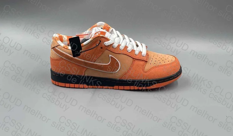 Dunk Lobster Orange 2