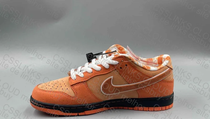 Dunk Lobster Orange 3