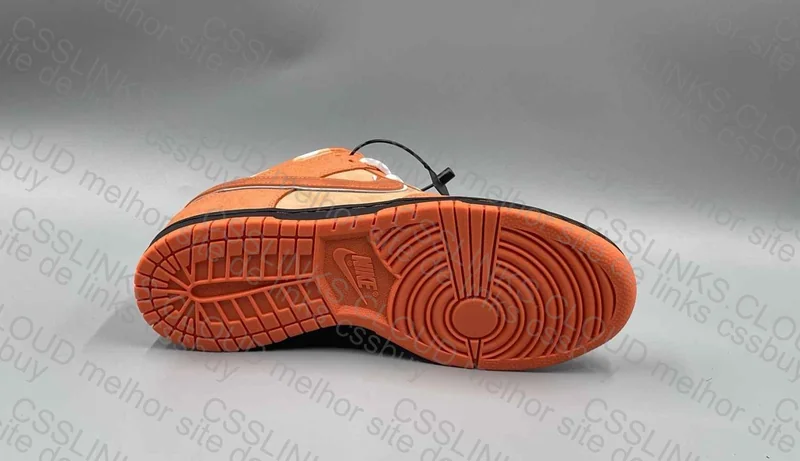 Dunk Lobster Orange 4