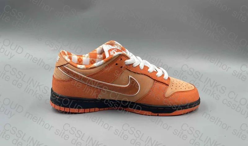 Dunk Lobster Orange 5