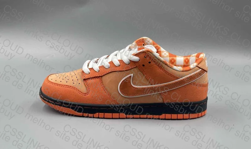 Dunk Lobster Orange 6
